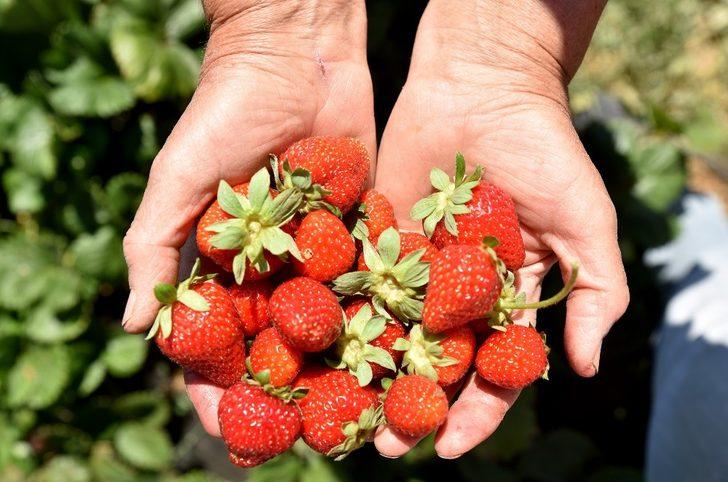 Üretici kadınlar istedi Başkan Ataç destekledi G2