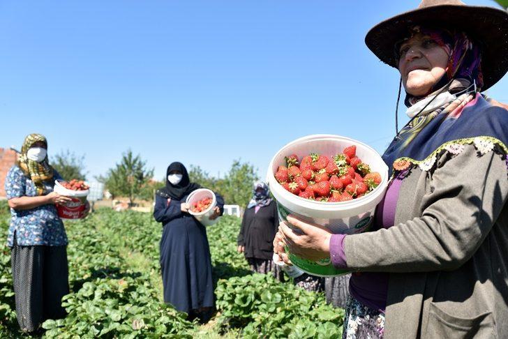 Üretici kadınlar istedi Başkan Ataç destekledi G3