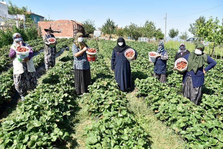 Üretici kadınlar istedi Başkan Ataç destekledi G4