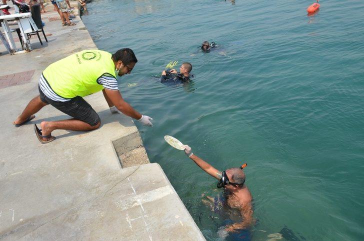 Didim’de deniz dibinde temizlik yapıldı G3
