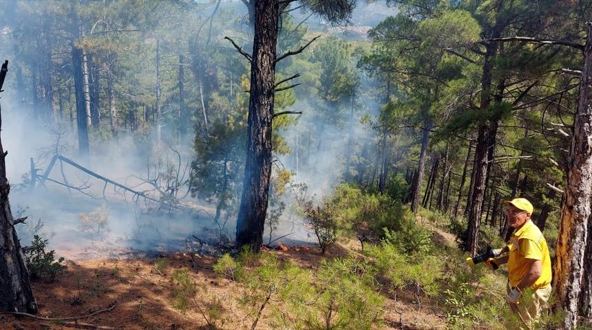 K&uuml;tahya'daki orman yangınlarının yıldırım d&uuml;şmesinden &ccedil;ıktığı belirlendi