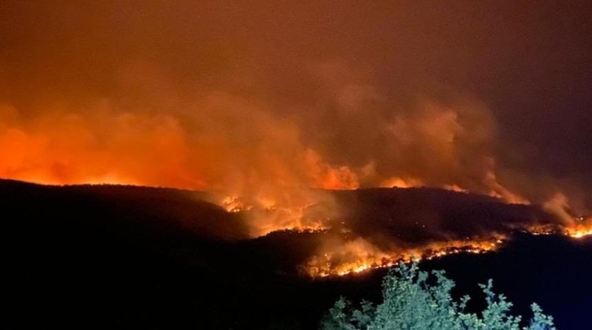 30 kilometre alanı kapladı! Bulgaristan’daki yangın Türkiye sınırına ulaştı