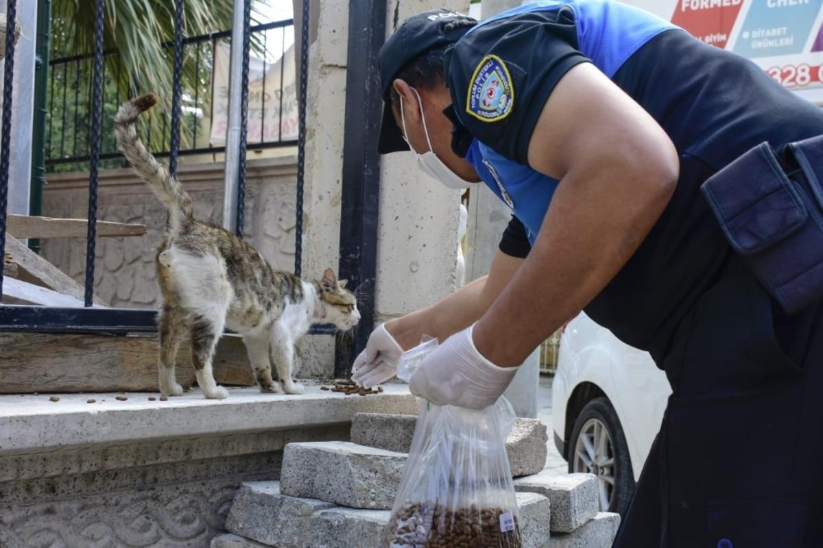 Polis &lsquo;can dostları&rsquo; yalnız bırakmadı