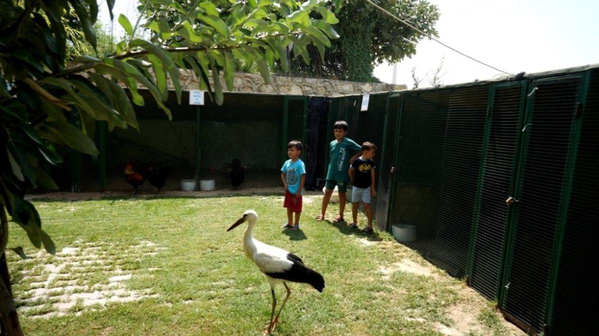 Leylek yolunu şaşırdı istasyonun maskotu oldu