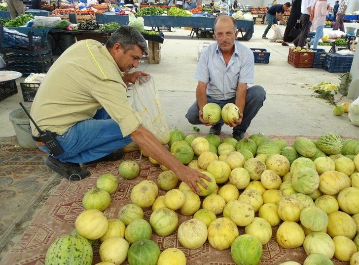 Hisarcık’ta yerli kavun tezgaha indi G1