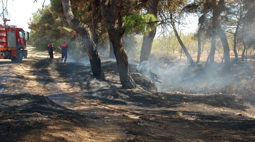 Keşan Kaymakamlığı&rsquo;ndan orman yangınlarına karşı acil &ouml;nlem kararları
