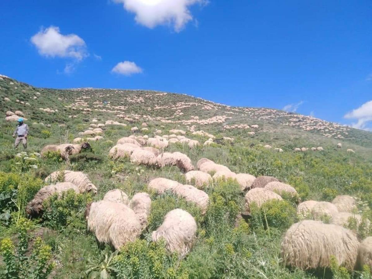 Karların yeni eridiği Mereto Dağı&rsquo;na ilkbahar yeni geldi