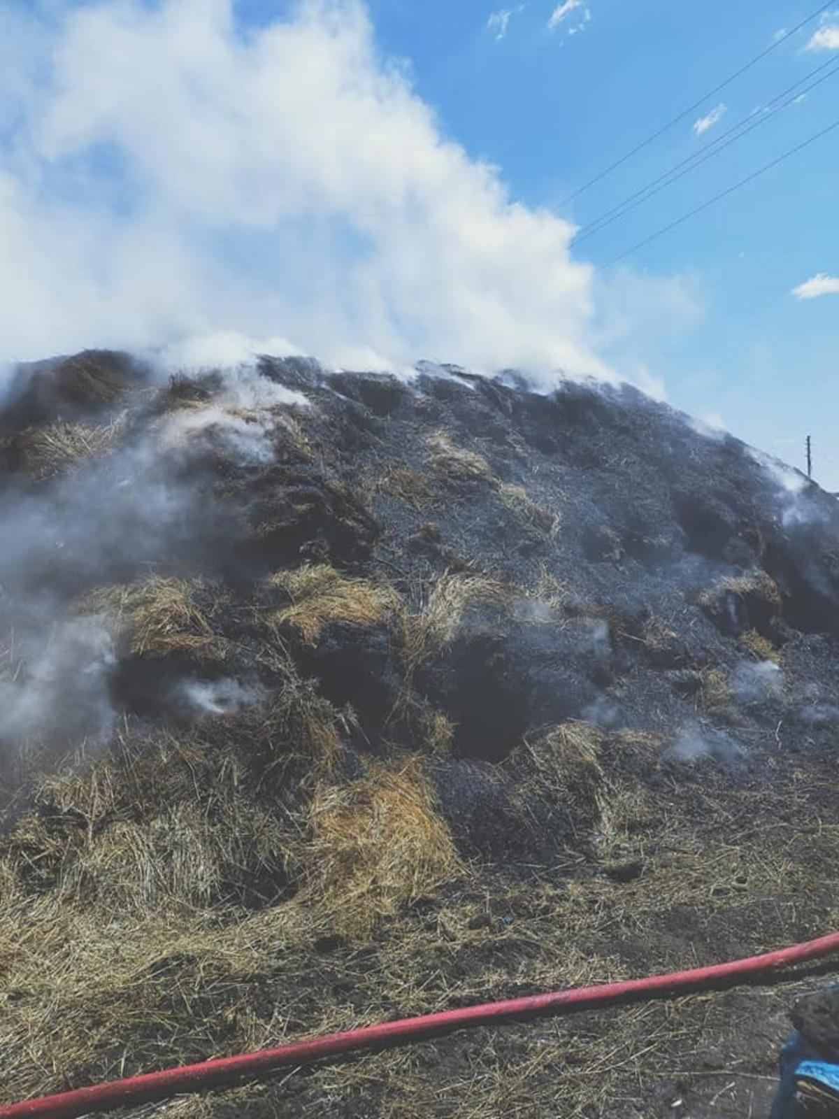 Kars&rsquo;ta ot yangını! 10 ton ot yanarak k&uuml;l oldu