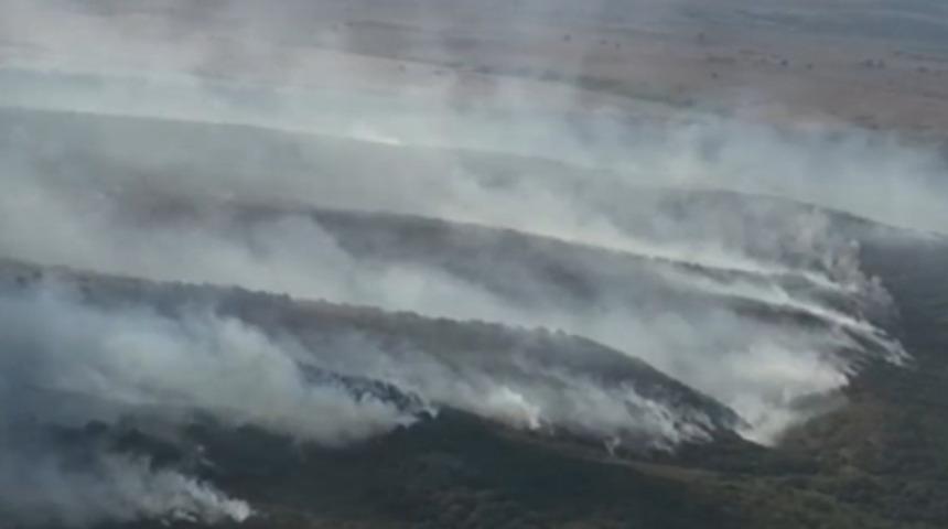 Bulgaristan sınırında yangın: Valinin talimatı felaketi önledi