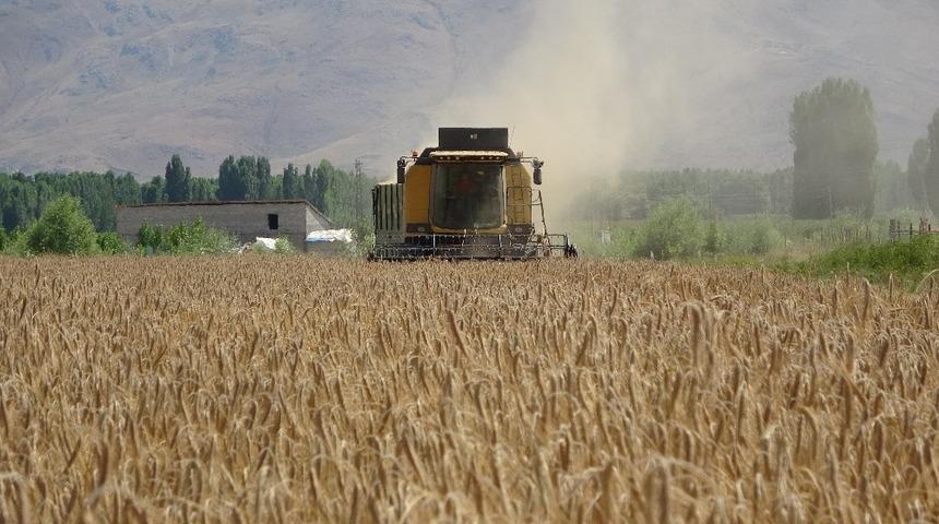 Hububat &uuml;reten &ccedil;ift&ccedil;ilerden Muş ekonomisine 1 milyar TL katkı