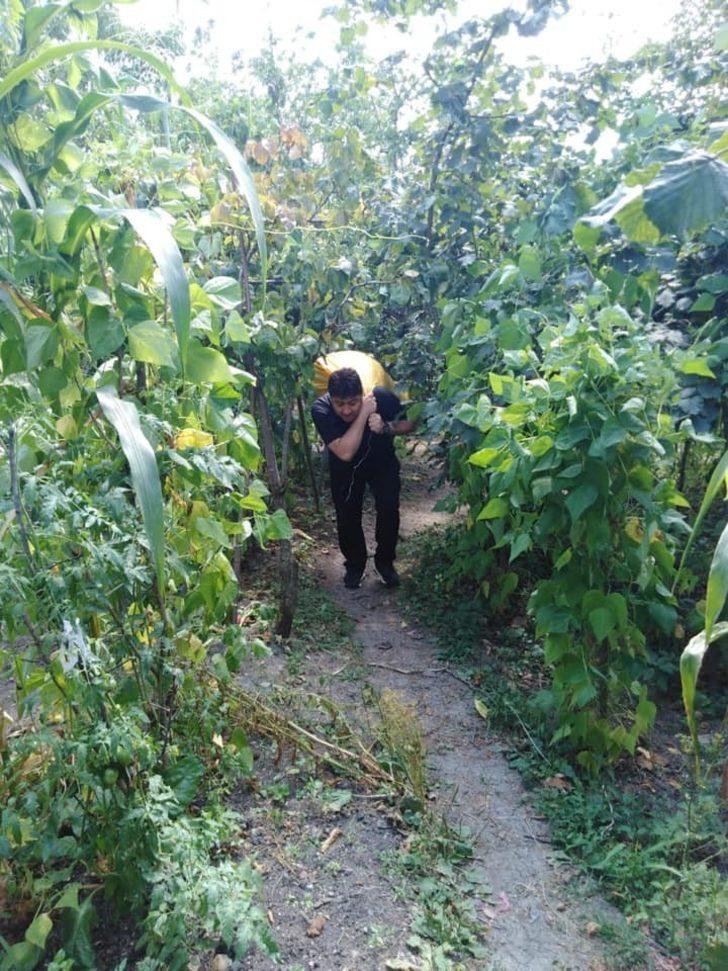 Üretici başkan fındık bahçesinde G3