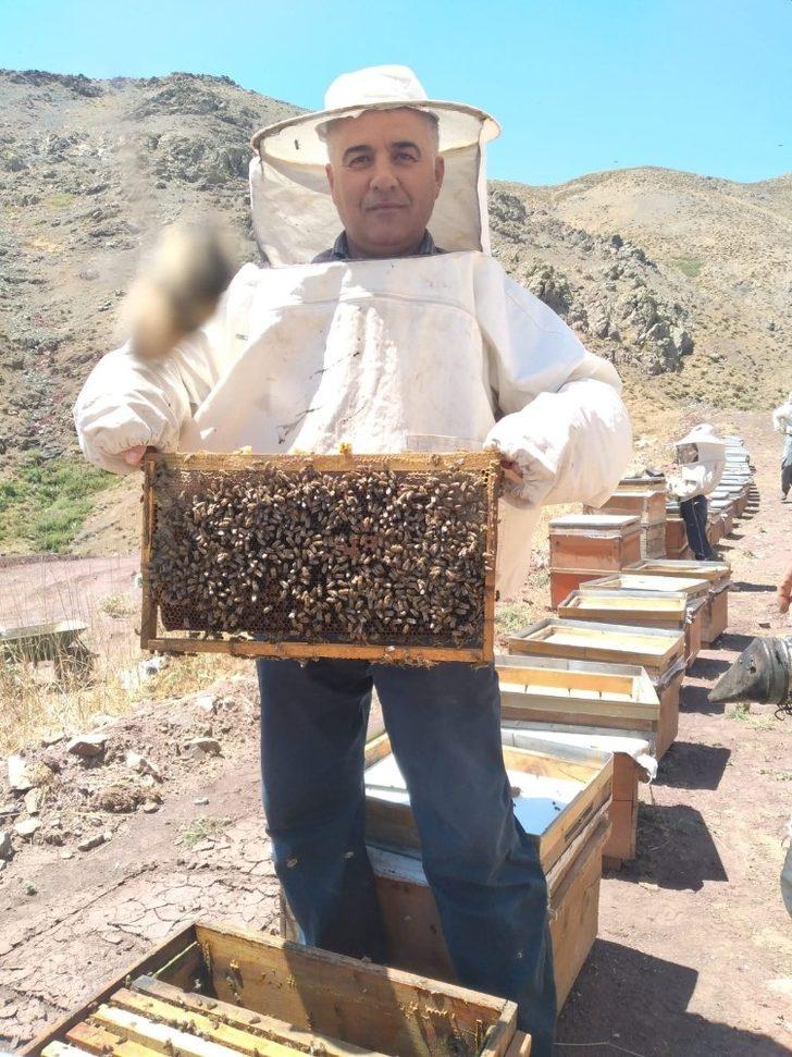 Türk Dağı’nda bal sağımı başladı G1