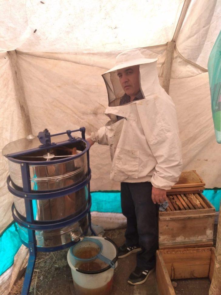 Türk Dağı’nda bal sağımı başladı G2