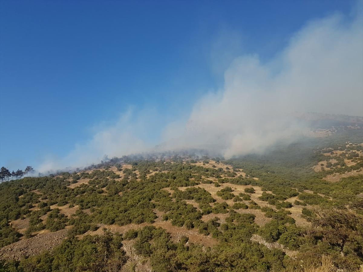 Balıkesir'deki orman yangını s&ouml;nd&uuml;r&uuml;ld&uuml;