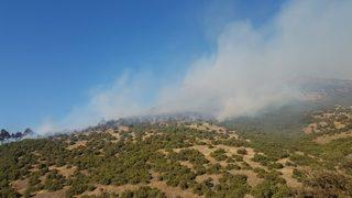 Balıkesir'deki orman yangını söndürüldü