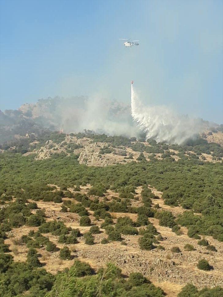 Balıkesir'deki orman yangını söndürüldü G2