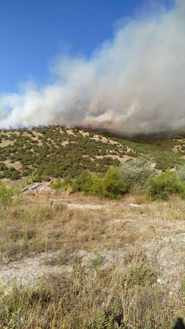 Balıkesir'deki orman yangını söndürüldü G3