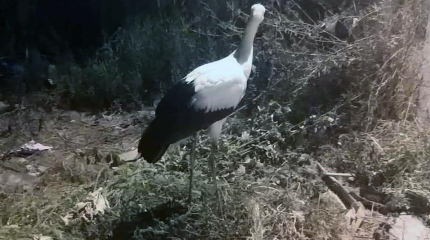 İlk u&ccedil;uşunda başarısız oldu