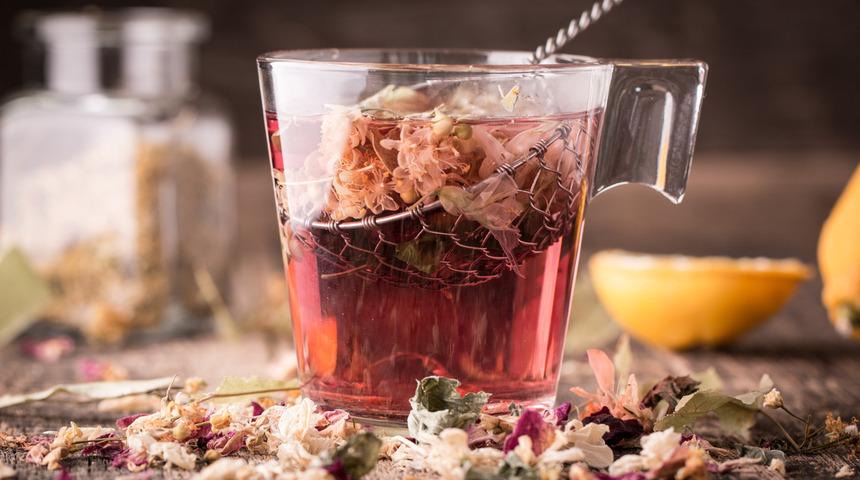 Ekinezya çayının faydaları nelerdir? Nasıl demlenir? Bağışıklığı güçlendirir mi?