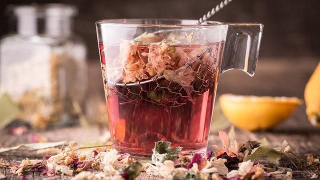 Ekinezya çayının faydaları nelerdir? Nasıl demlenir? Bağışıklığı güçlendirir mi?
