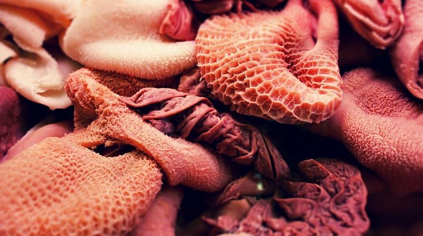 Hangi sakatat neye iyi geliyor? Meğer hep yanlış sakatatı tercih etmişiz