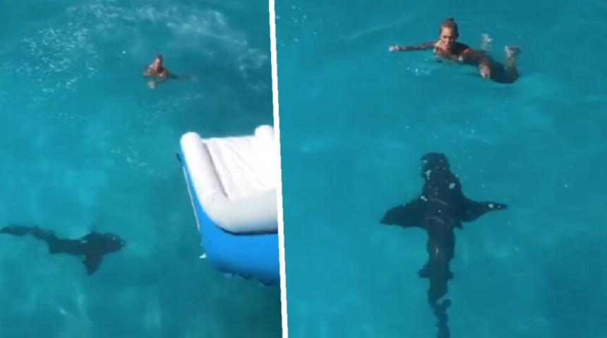 Yattan denize açılan kadın köpek balığı ile karşılaştı