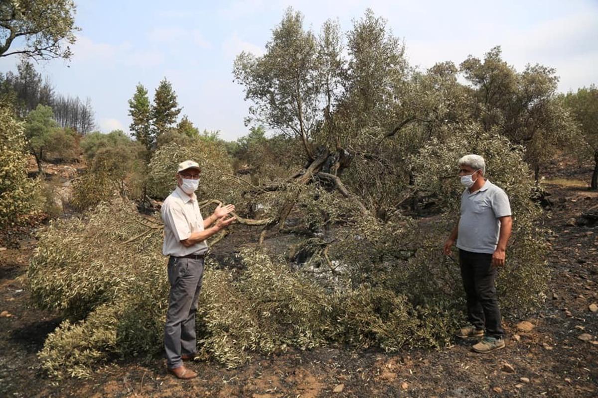 Başkan Atıcı, yanan alanları inceledi