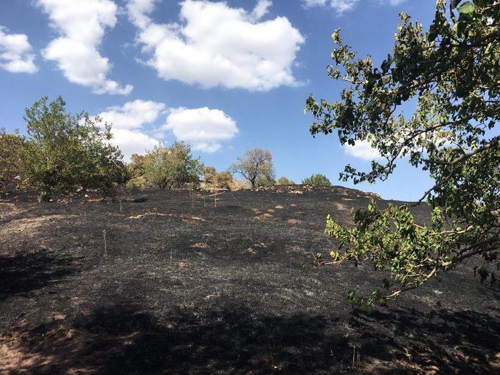 Elazığ’da ki bahçe yangını korkuttu G1