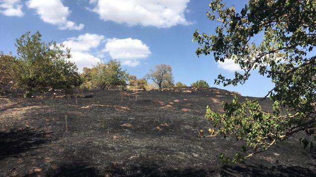 Elazığ’da ki bahçe yangını korkuttu