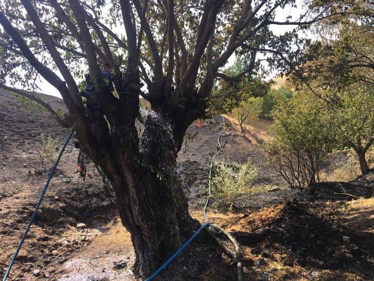 Elazığ’da ki bahçe yangını korkuttu G3