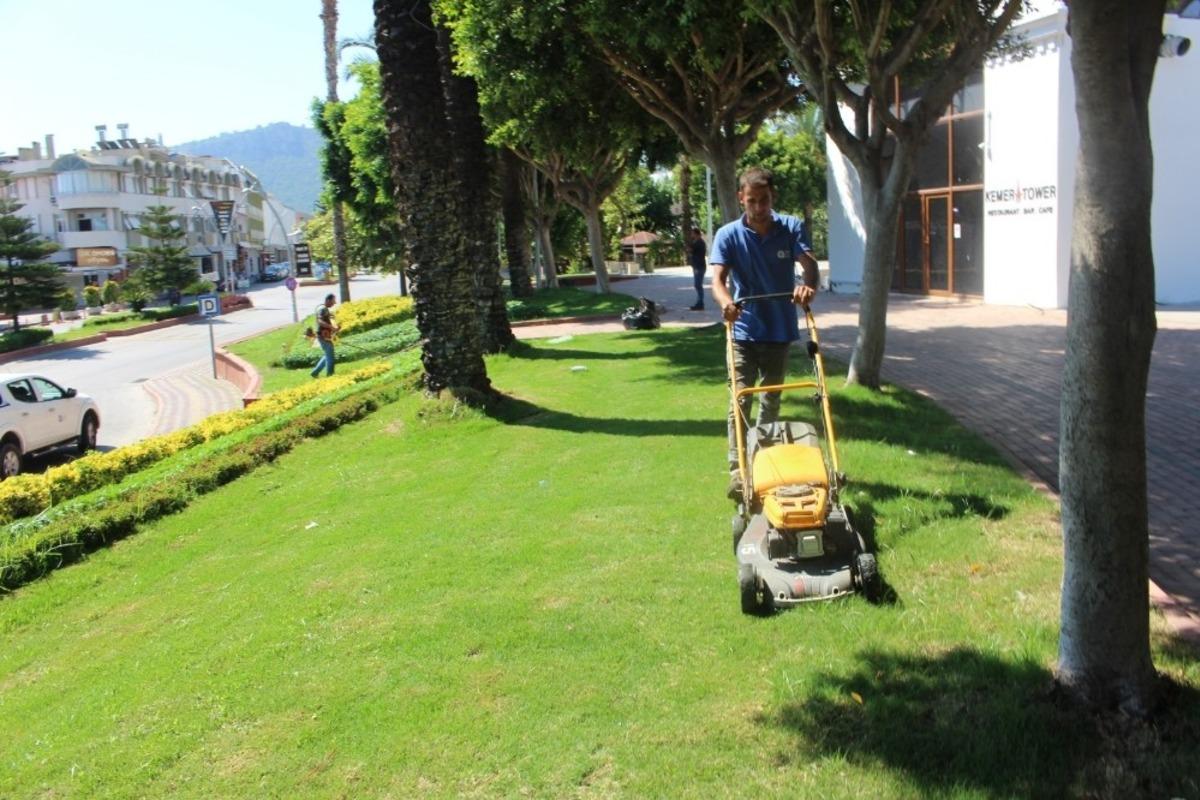 B&uuml;y&uuml;kşehir, Kemer&rsquo;de yeşil alanların bakımını yapıyor