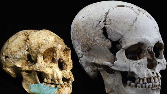 Hobbitlerin 700 bin yıllık ataları bulundu