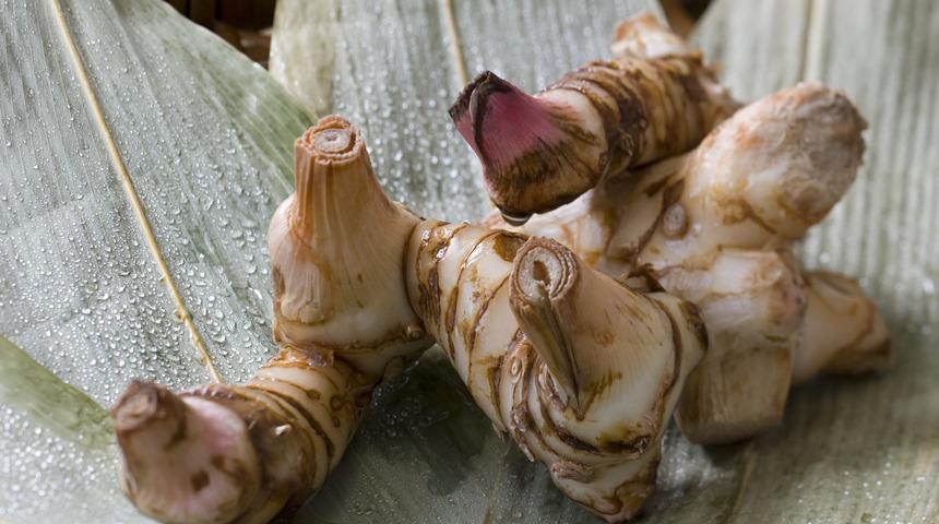 Havlıcanın faydaları nelerdir? Nasıl tüketilir? Neye iyi gelir?