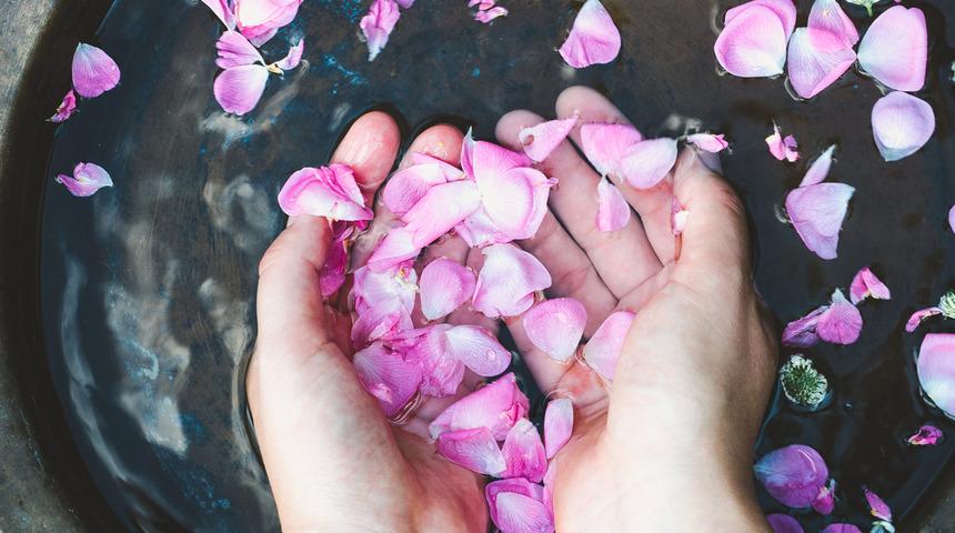 Gül suyunun faydaları nelerdir? Cilt bakımı için nasıl kullanılır?