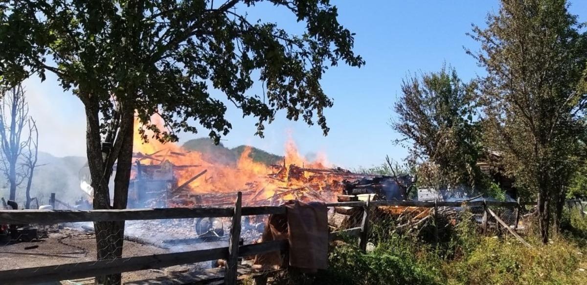 Kastamonu&rsquo;da &ccedil;ıkan yangında 3 hayvan telef oldu