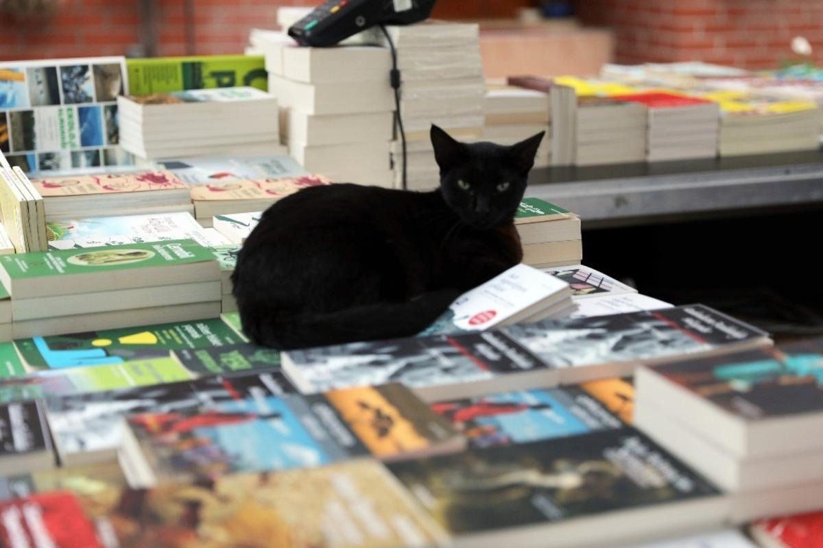 Mudanya 2. Kitap G&uuml;nleri başlıyor