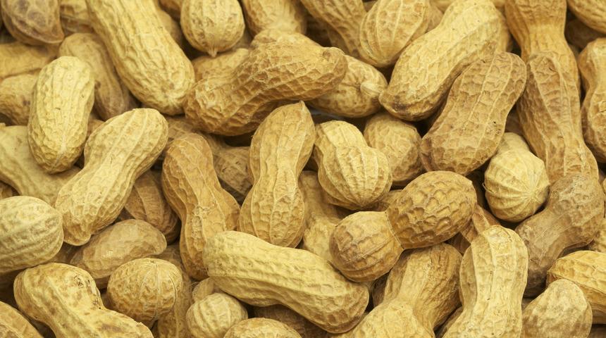 Fıstığın faydaları nelerdir? Nasıl tüketilir? Zayıflamaya yardımcı olur mu?