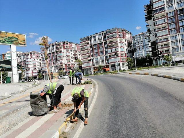 Büyükşehir’den yabani ot temizliği