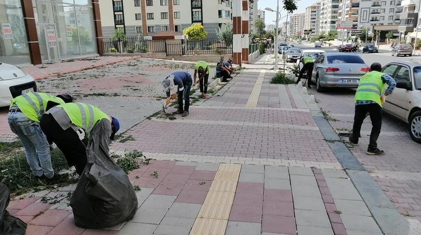 B&uuml;y&uuml;kşehir&rsquo;den yabani ot temizliği