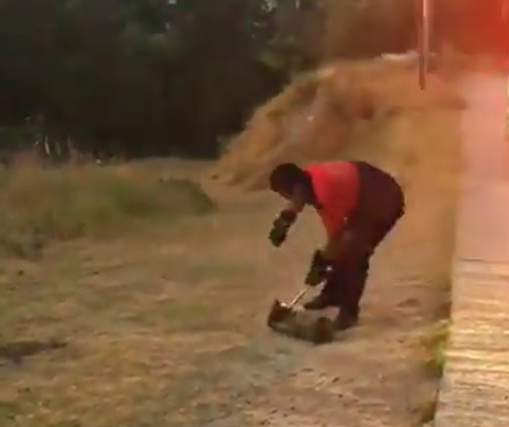 Evin bahçesindeki yılan panik yaşattı G2