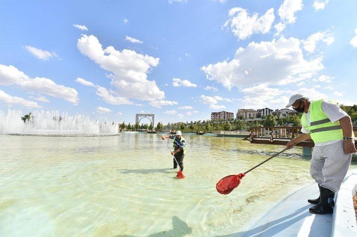 Başkent’te havuzlar temizlik markajında G2