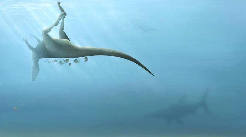 İngiltere'de T-Rex'in kuzeni yeni bir dinozor t&uuml;r&uuml; keşfedildi