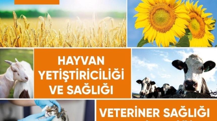 G&ouml;lbaşı Belediyesinden istihdama tam destek