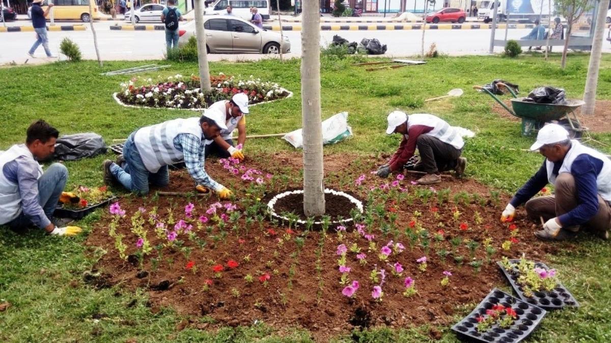 Edremit &ccedil;i&ccedil;eklerle s&uuml;sleniyor