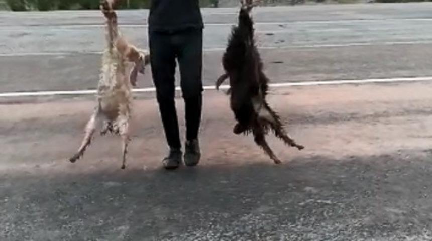 Besicinin hız ve alt ge&ccedil;it isyanı