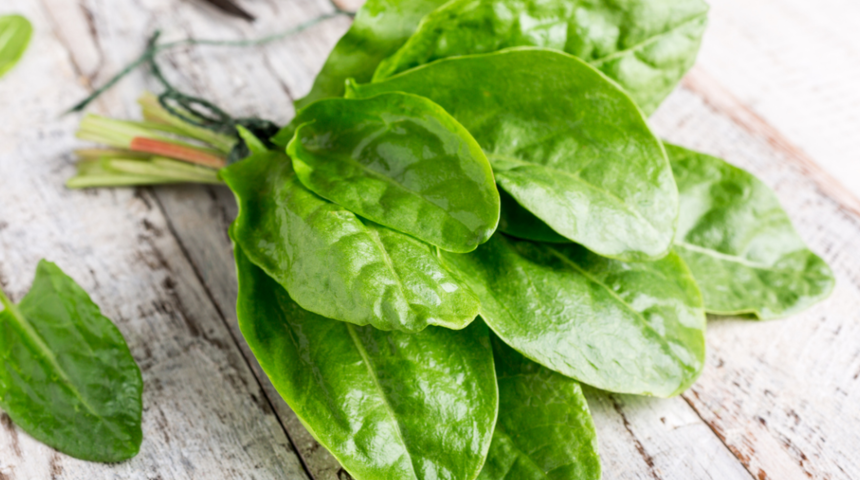 Kuzu kulağının faydaları nelerdir? Hangi hastalıklara iyi gelir? Nasıl kullanılır?