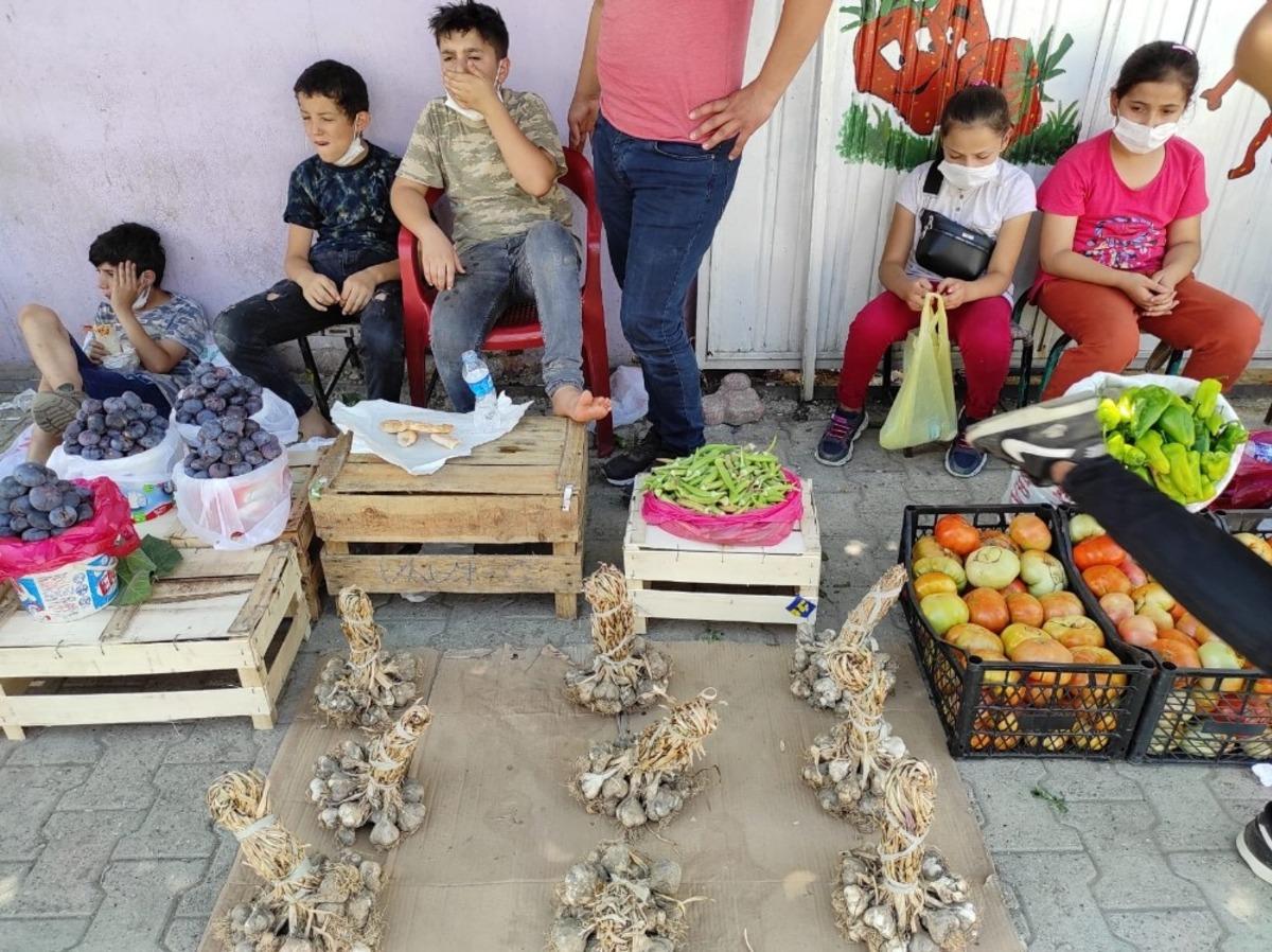 Sason&rsquo;da organik k&ouml;y &uuml;r&uuml;nleri pazardaki yerini aldı