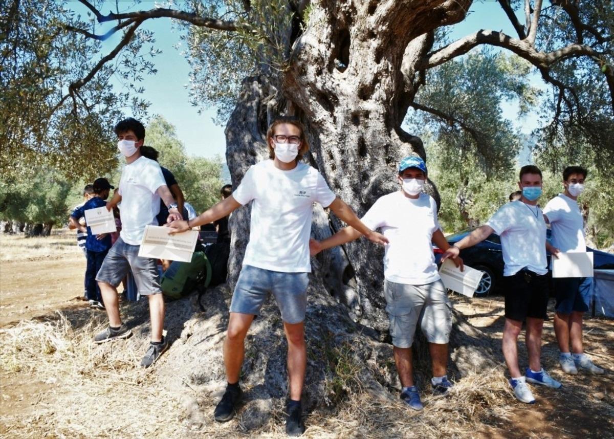 Milas&rsquo;ta Robotik İlham Projesi ger&ccedil;ekleştirildi