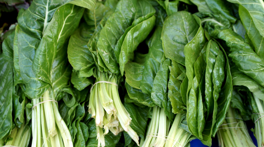 Pazının faydaları nelerdir? Ne işe yarar? Hangi vitaminleri içerir?