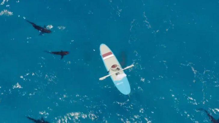 Bermuda Adaları’nda tehlikeli deney! Sörf tahtasıyla okyanusa açıldı ve.. G3